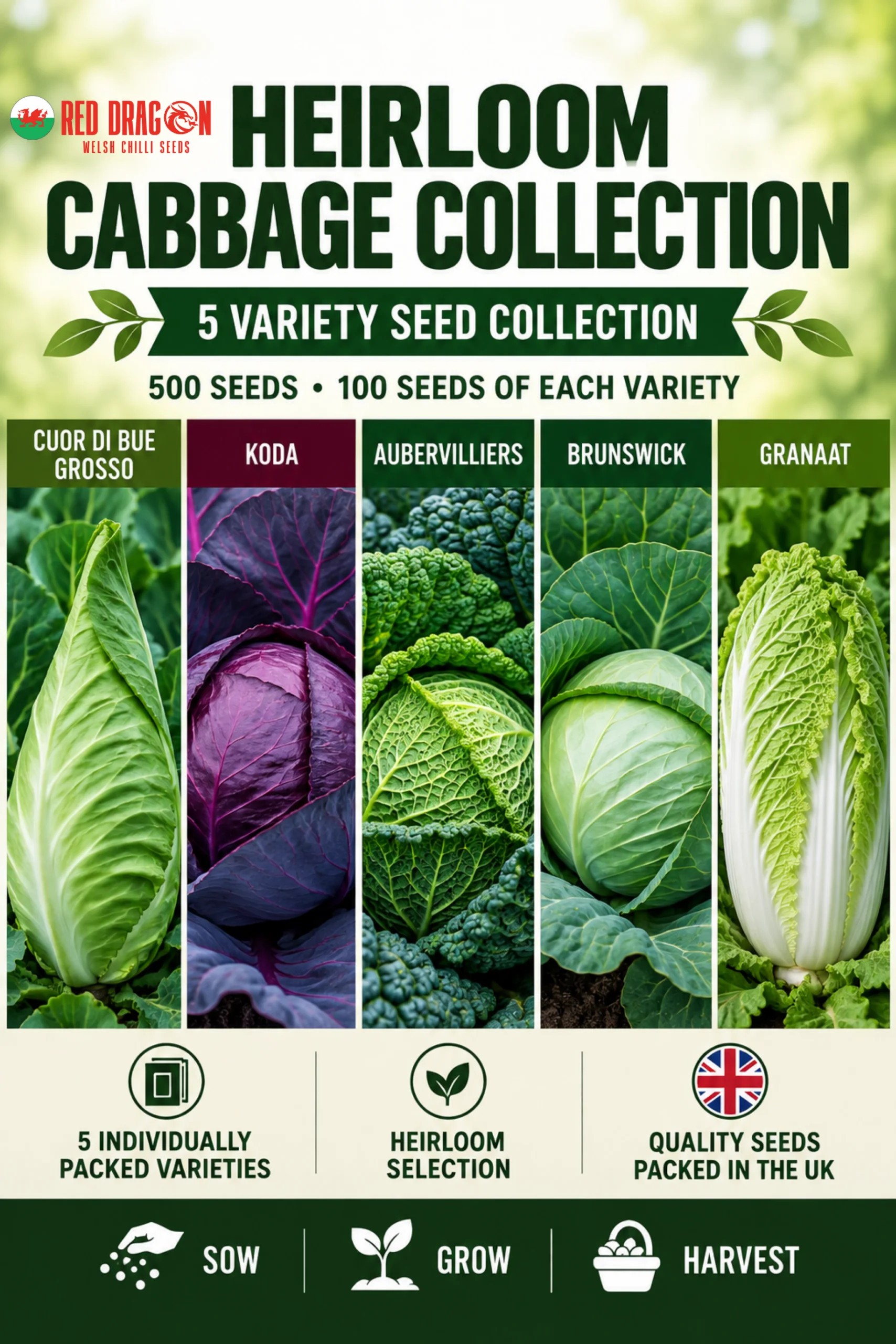 Heirloom Cabbage Seed Collection – 5 Varieties