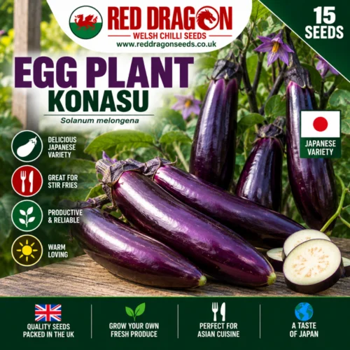 Konasu Aubergine Seeds
