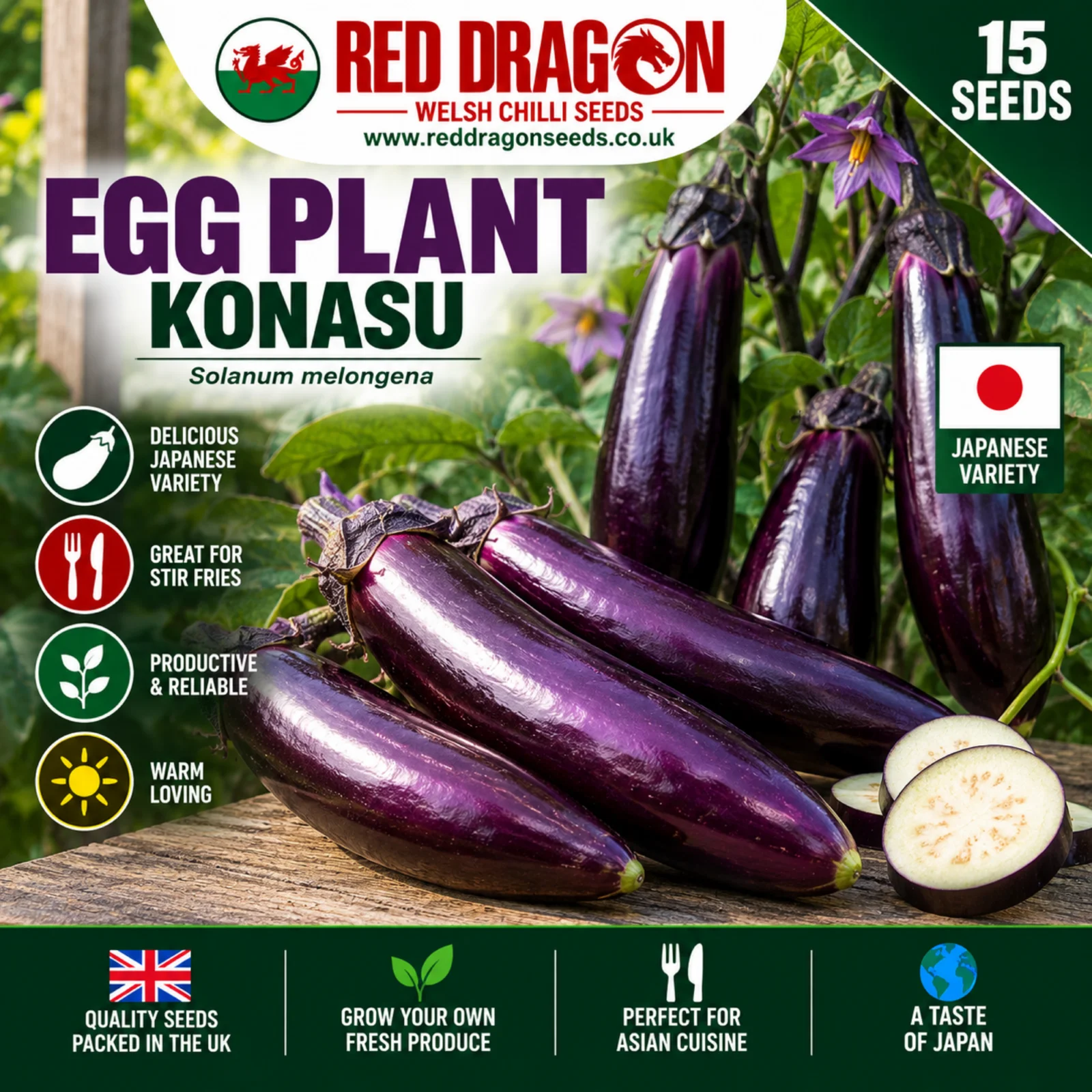Konasu Aubergine Seeds