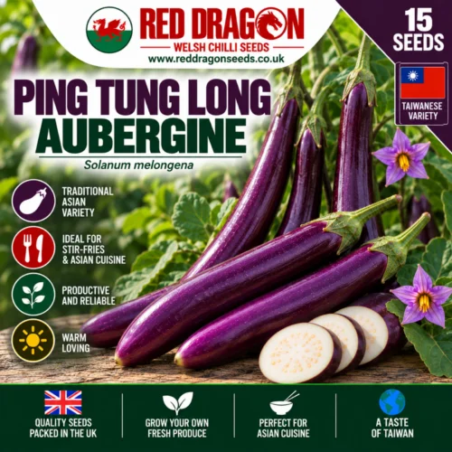 Ping Tung Long Aubergine Seeds