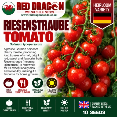 Riesentraube Tomato Seeds