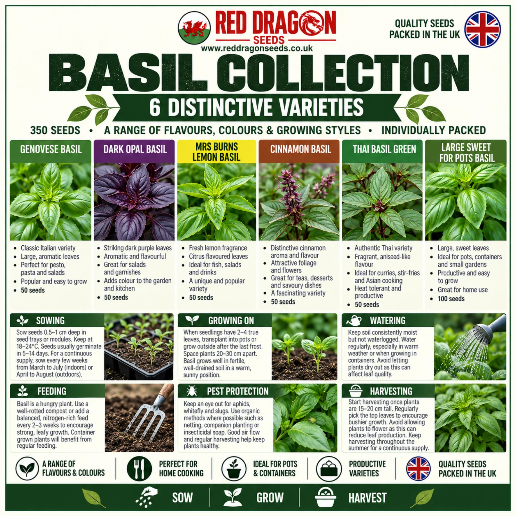 Basil Seed Collection – 6 Individually Packed Varieties - Image 2