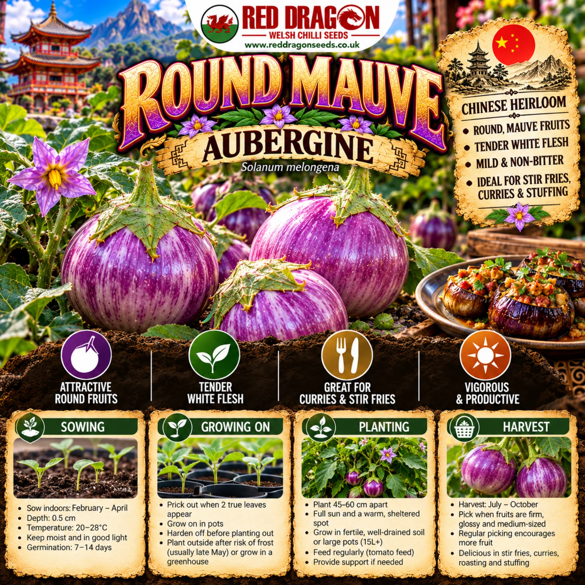 Round Mauve Aubergine Seeds - Image 2