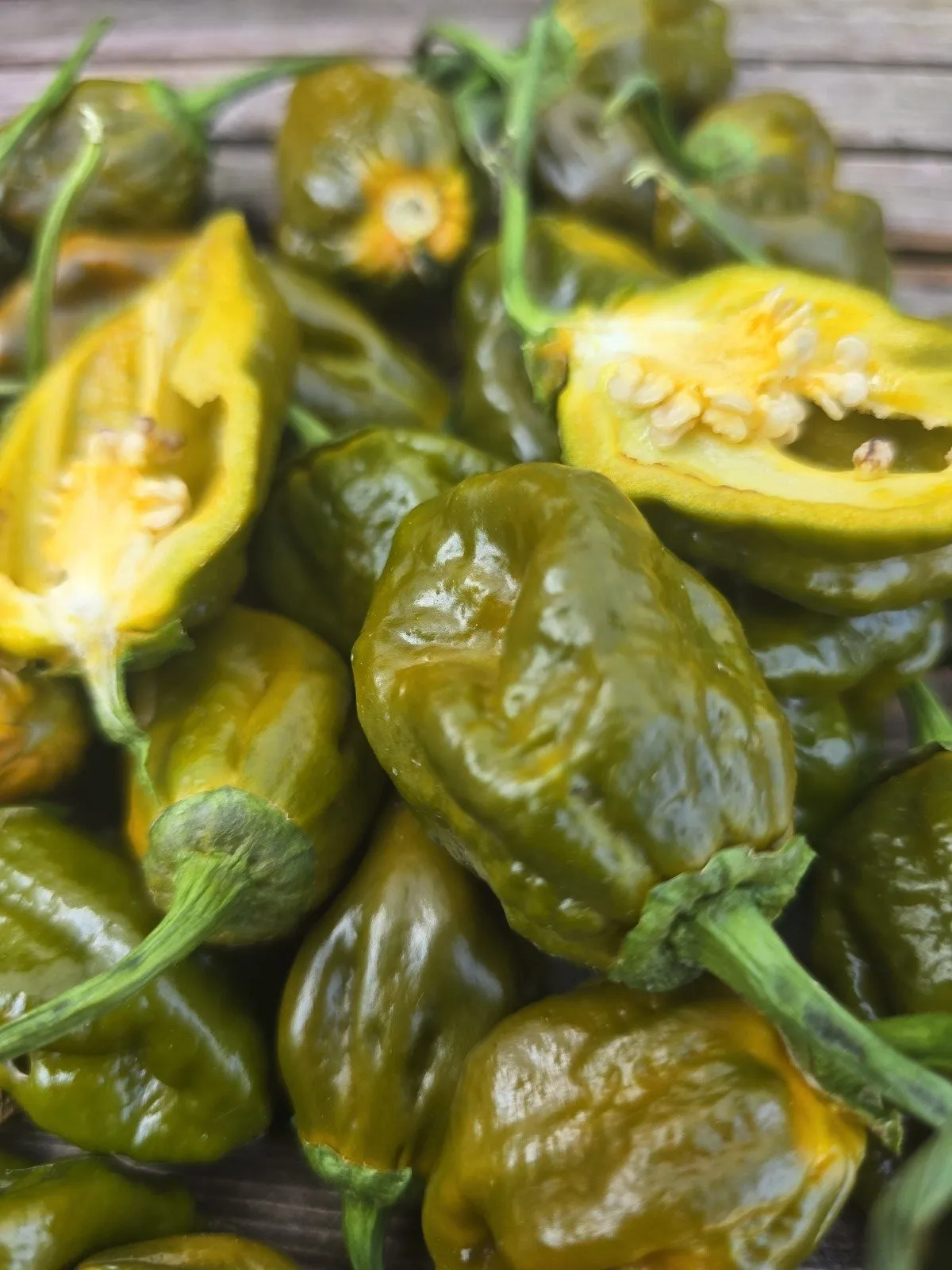BBG Green Mustard Chilli Seeds - Image 7