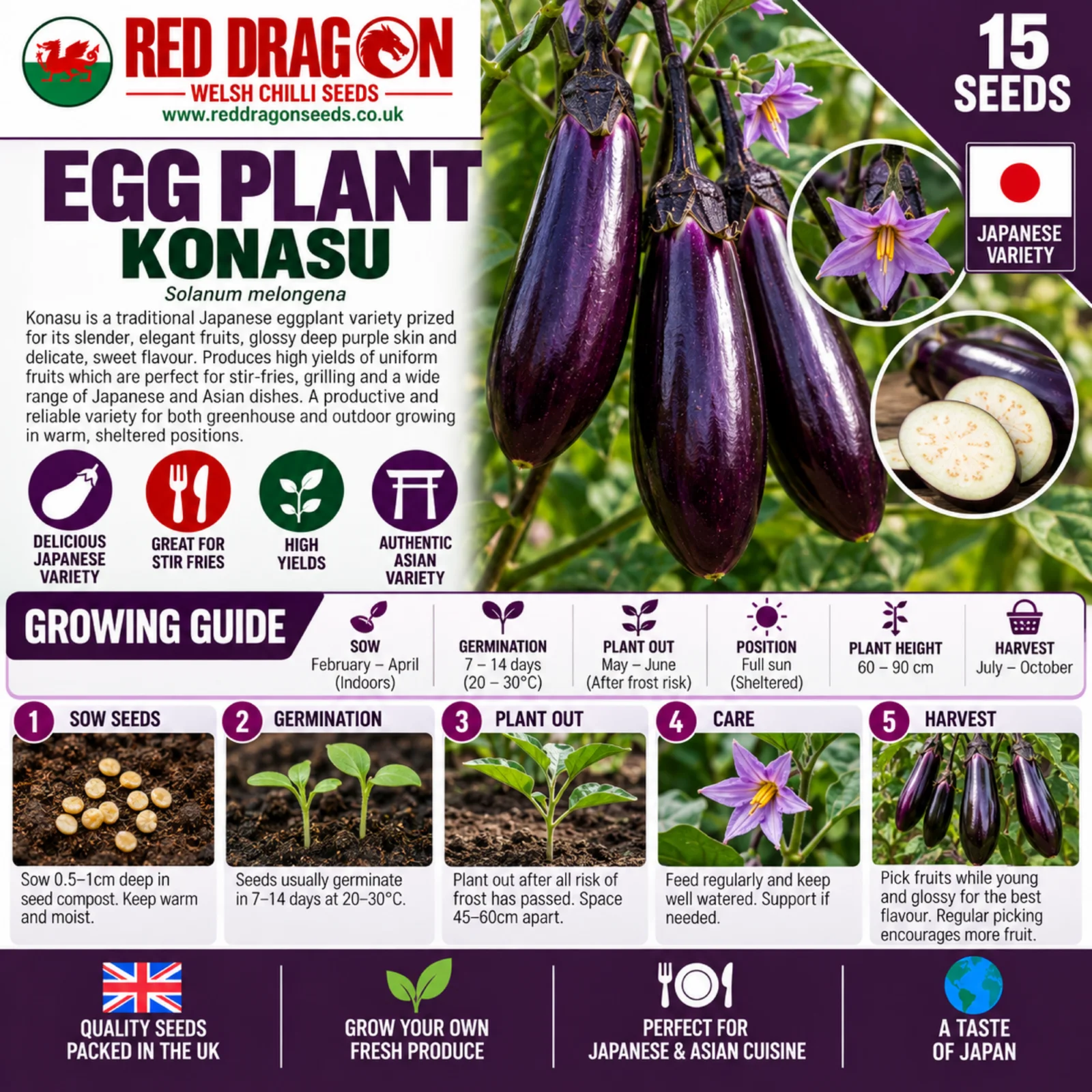 Konasu Aubergine Seeds - Image 2