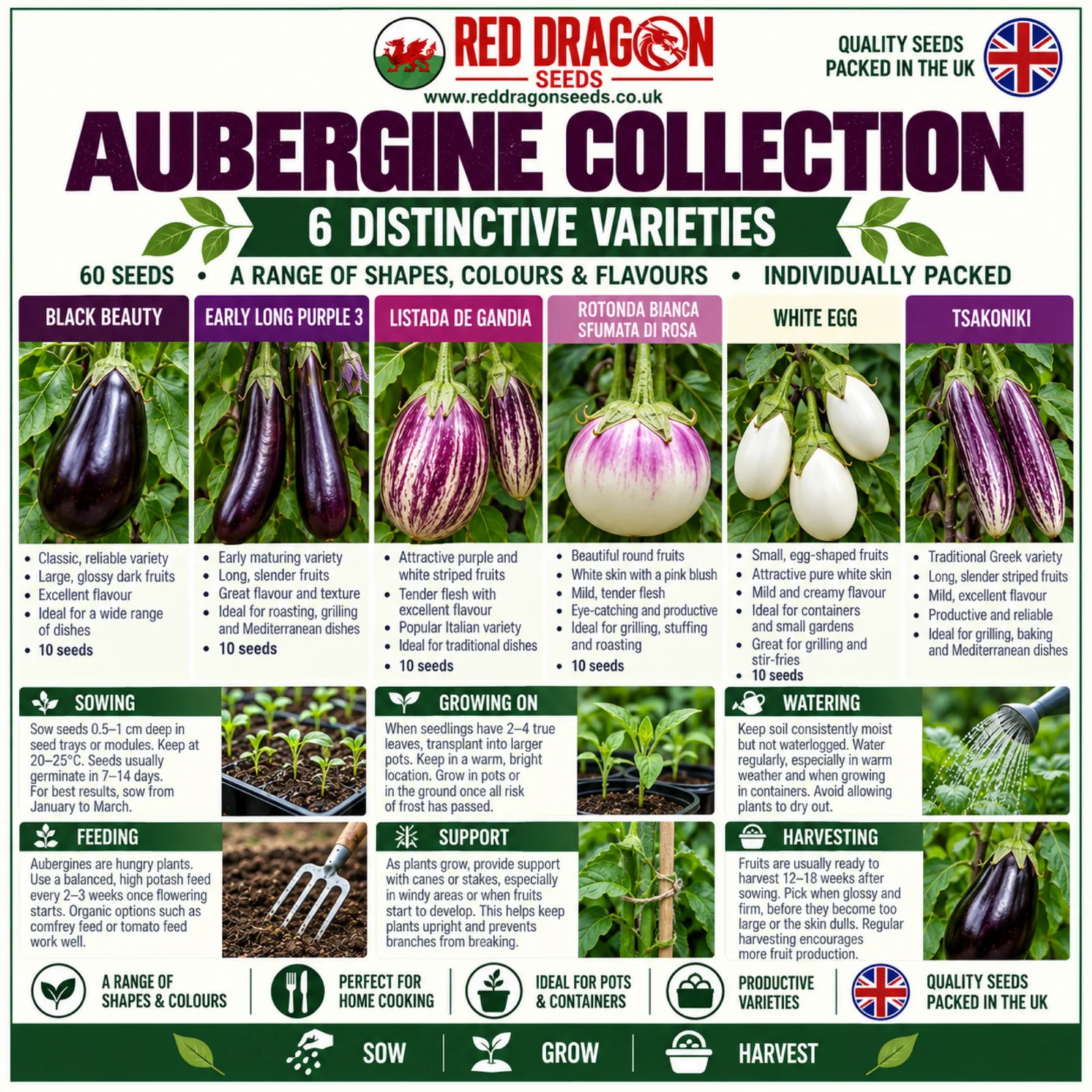 Heirloom Aubergine Collection – 6 Varieties - Image 2