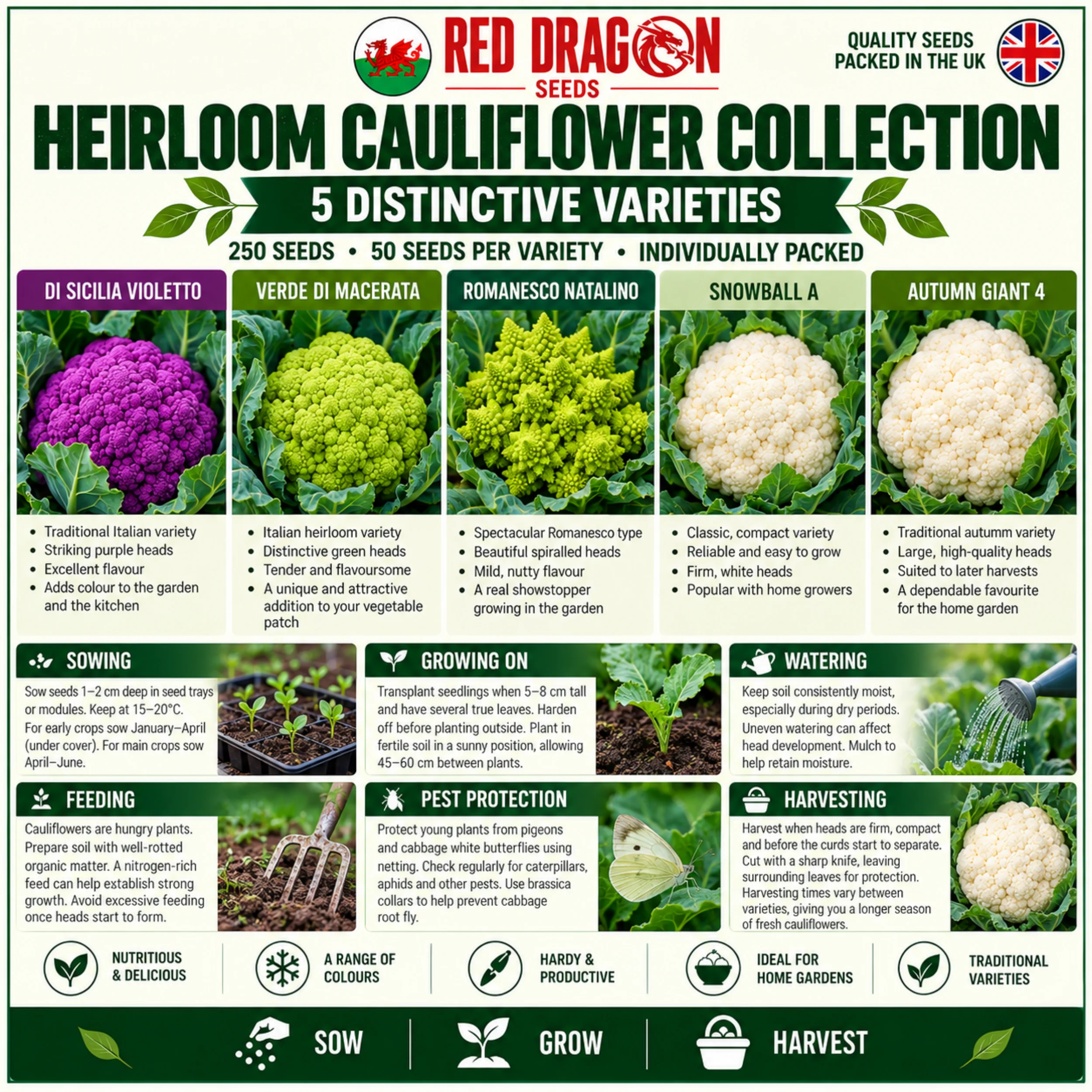 Heirloom Cauliflower Seed Collection