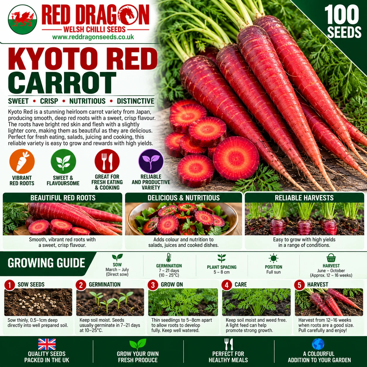 Kyoto Red Carrot Seeds - Image 2