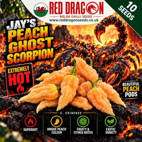 Jays Peach Ghost Scorpion Chilli Seeds