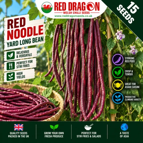 Red Noodle Yard Long Bean Seeds