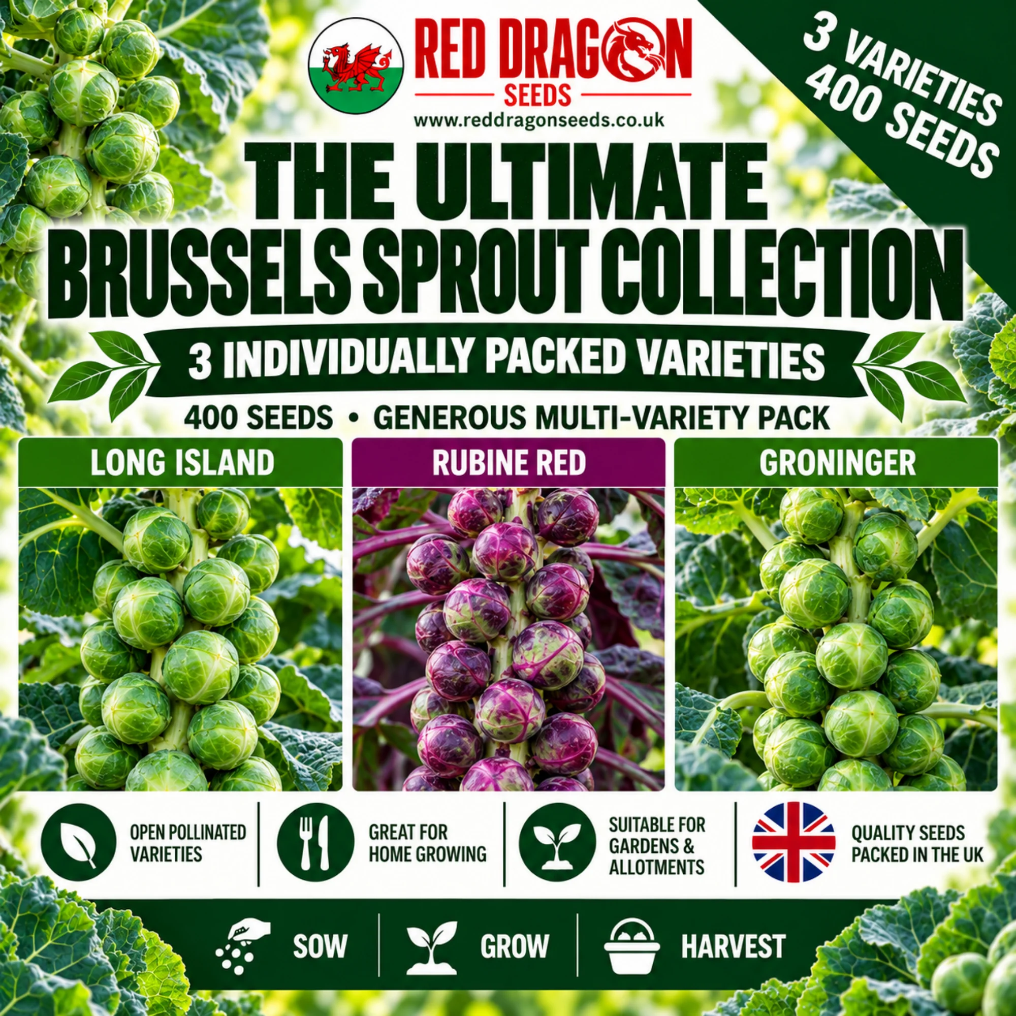 The Ultimate Brussels Sprout Collection – 3 Varieties | 400 Seeds