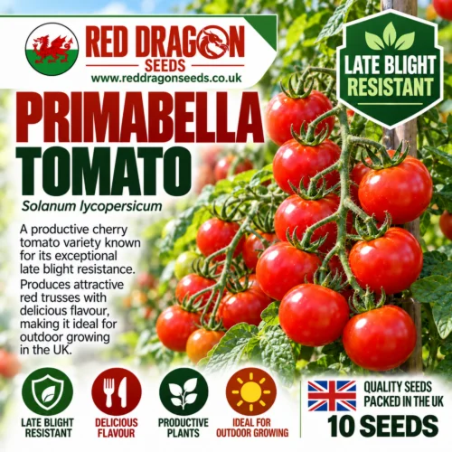 Primabella Tomato Seeds – Highly Late Blight Resistant