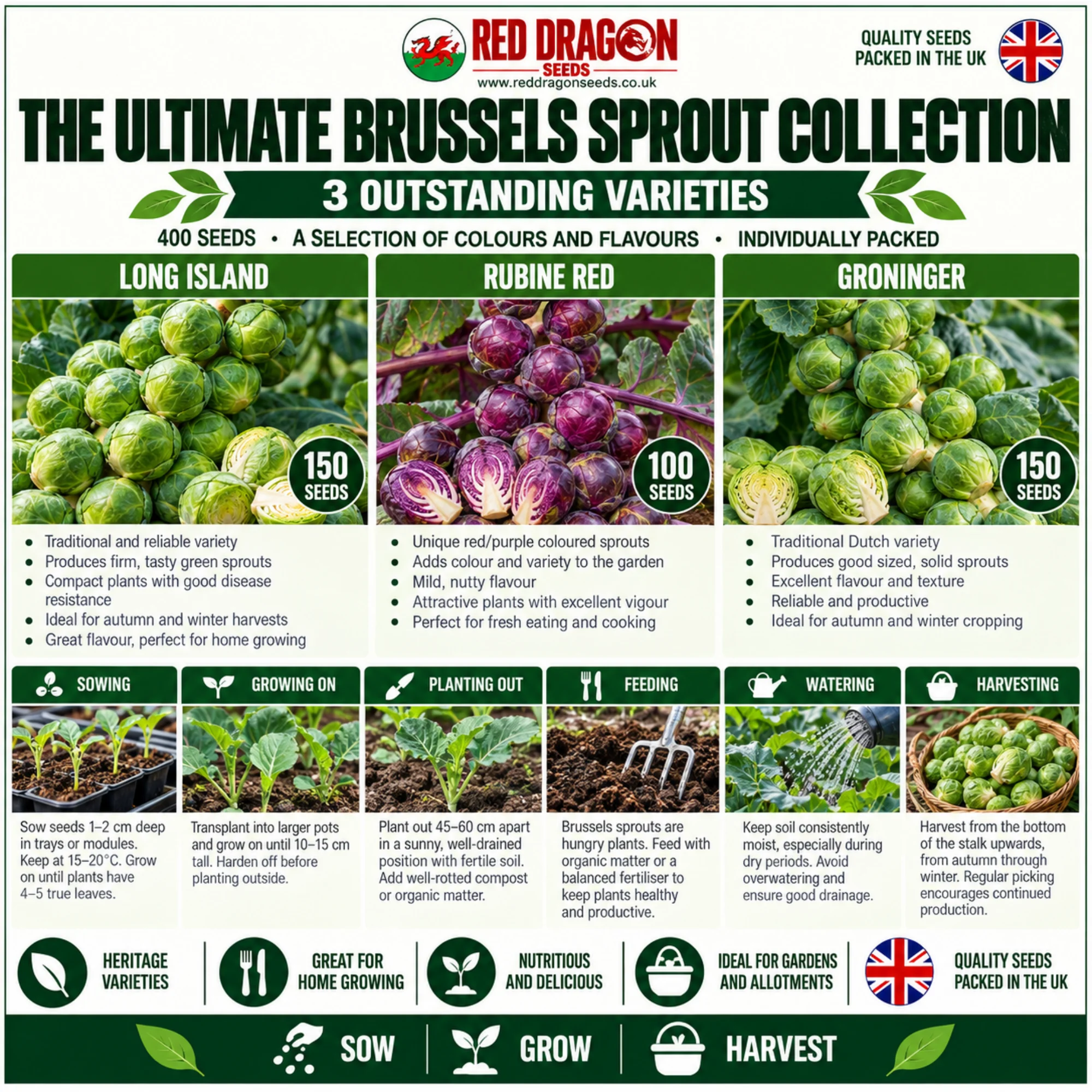 The Ultimate Brussels Sprout Collection – 3 Varieties | 400 Seeds - Image 2