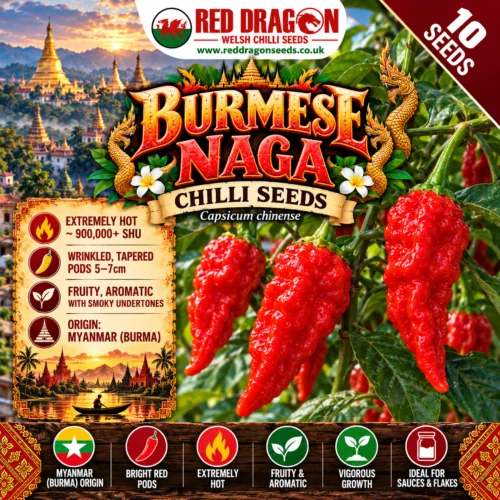 Burmese Naga Chilli Seeds