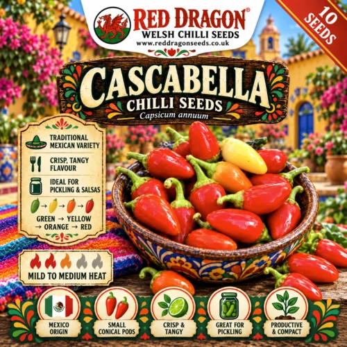 Cascabella Chilli Seeds
