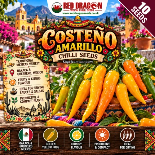 Chilli Costeño Amarillo Chilli Seeds