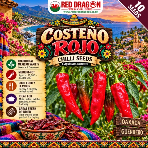 Costeño Rojo Chilli Seeds