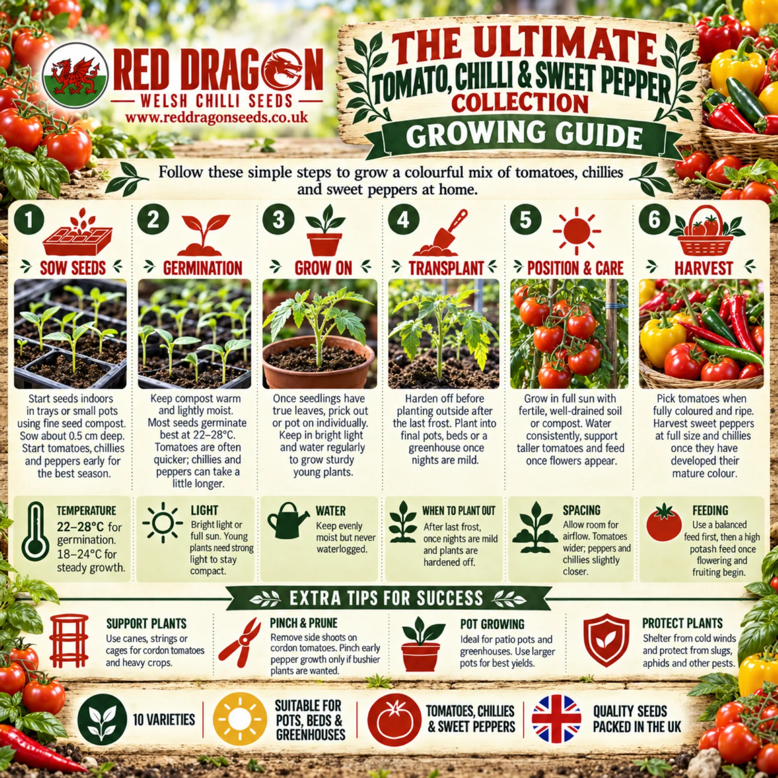 The Ultimate Tomato, Chilli & Sweet Pepper Collection - Image 3