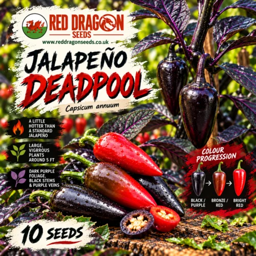 Jalapeño Deadpool Seed Packet