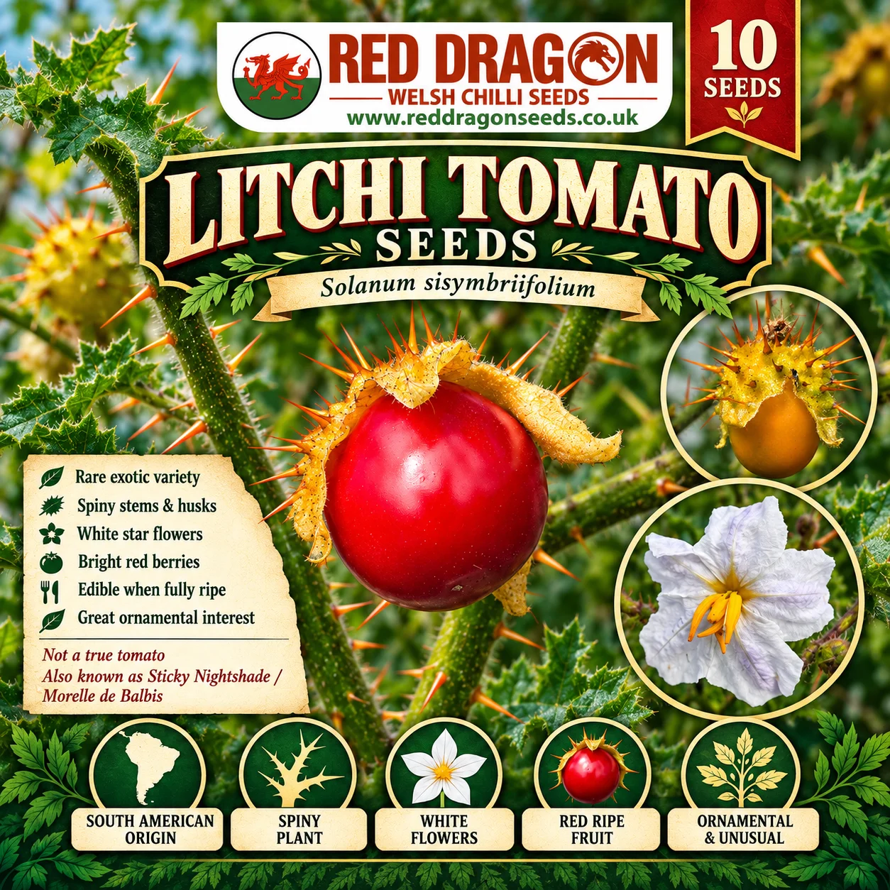Litchi Tomato Seeds