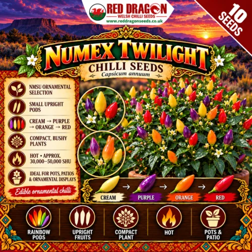 Numex Twilight Chilli Seeds