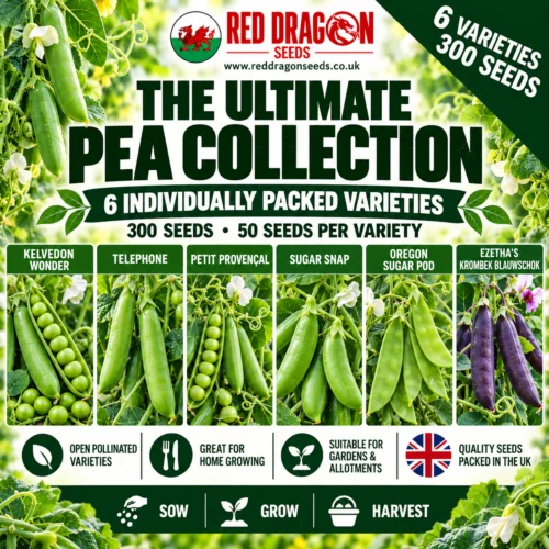 The Ultimate Pea Collection – 6 Varieties – 300 Seeds