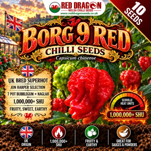 Borg 9 Red Chilli Seeds
